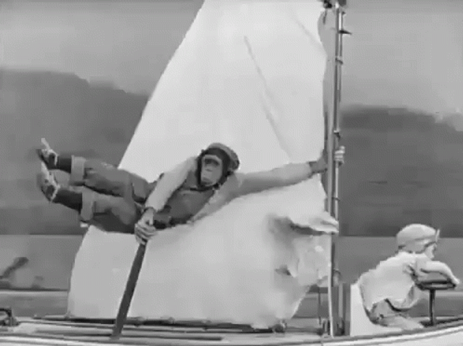 Monkey Sailing And Flying GIF