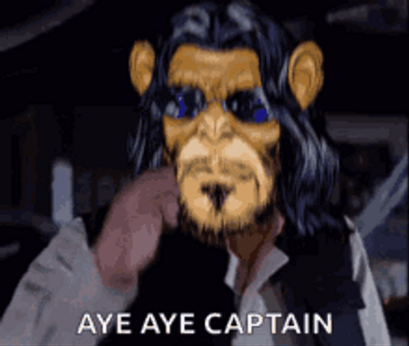 Monkey Saluting Aye Aye Captain GIF
