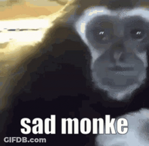 Monkey Saying Even She Was Weirded Tf Out GIF