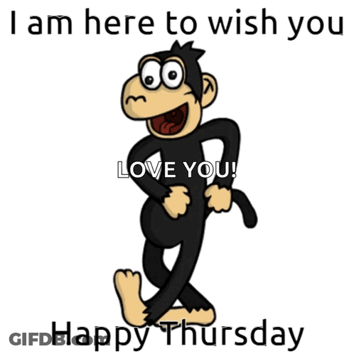Monkey Saying I Am Here To Wish You Love You GIF