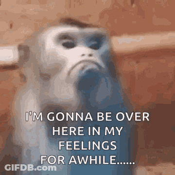 Monkey Saying I'm Gonna Be Over Here In My Feelings GIF