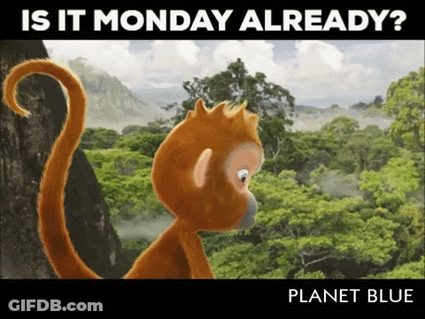 Monkey Saying Is It Monday Already GIF