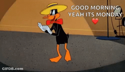 Monkey Saying Its Monday GIF