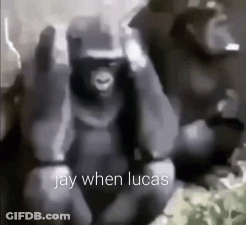 Monkey Saying Jay When Lucas GIF