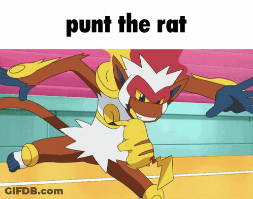Monkey Saying Punt The Rat GIF