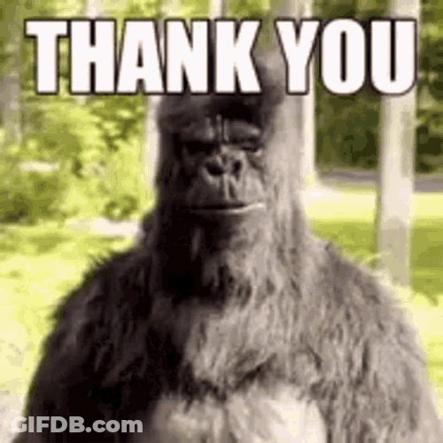 Monkey Saying Thank You GIF
