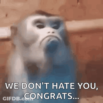 Monkey Saying We Don't Hate You Congrats GIF