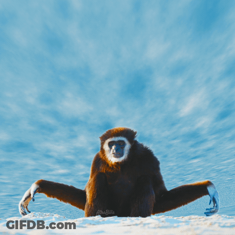 Monkey Saying Well In Blue GIF
