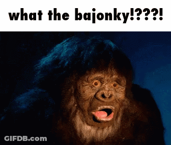 Monkey Saying What The Bajonky GIF