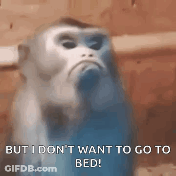 Monkey Says Don't Want To Go To Bed GIF