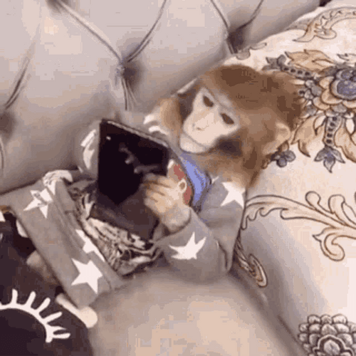 Monkey Scrolling Phone GIF