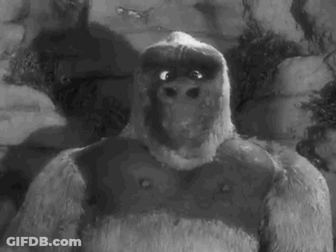 Monkey Shakes Head Having Headache GIF