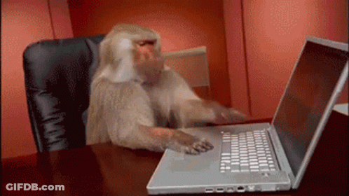 Monkey Sitting At Desk Using Laptop GIF