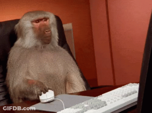 Monkey Sitting At Desk With Computer Mouse GIF