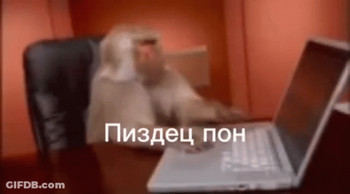 Monkey Sitting At Desk With Laptop GIF