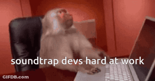 Monkey Sitting At Laptop Soundtrap Devs Hard At Work GIF