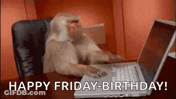 Monkey Sitting At Laptop GIF