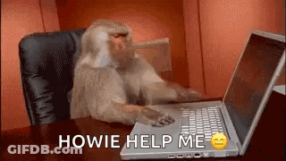 Monkey Sitting At Laptop GIF
