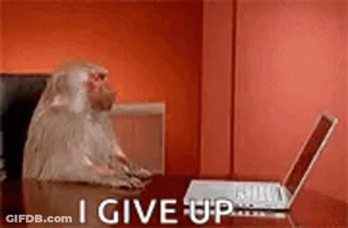 Monkey Sitting At Table Using Laptop GIF