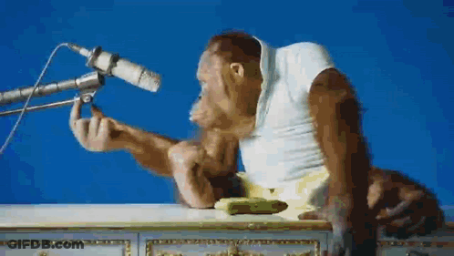 Monkey Sitting At Table With Microphone GIF