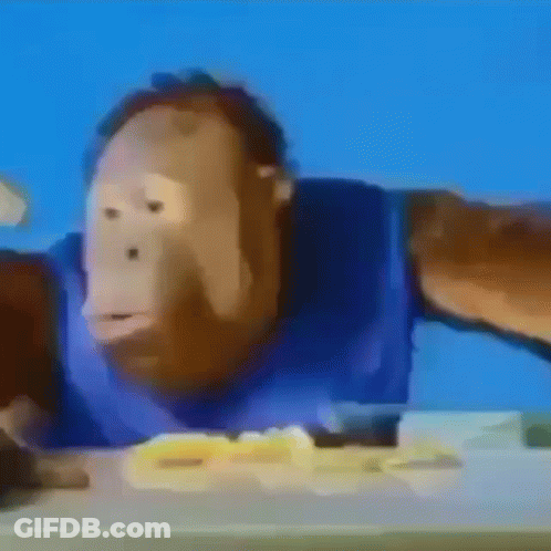 Monkey Sitting At Table With Plate Of Food GIF