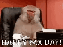 Monkey Sitting In Chair At Desk GIF