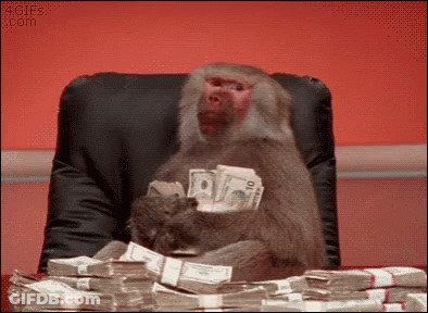 Monkey Sitting In Chair Holding Money GIF
