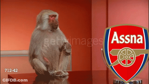 Monkey Sitting In Front Of Arsenal Logo GIF