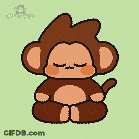 Monkey Sitting In Lotus Position GIF