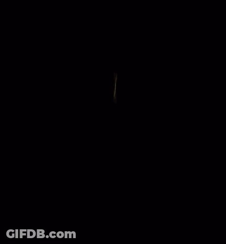 Monkey Sitting Inside Banana Peel GIF