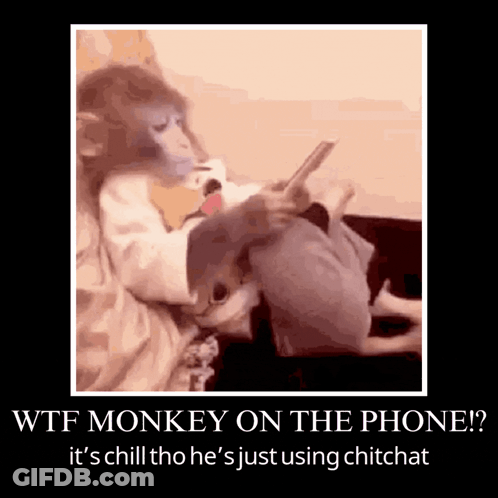 Monkey Sitting On Couch Holding Cell Phone GIF