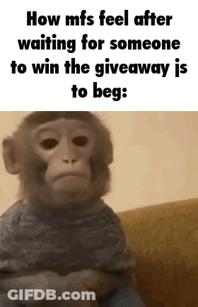Monkey Sitting On Couch Waiting For Giveaway GIF
