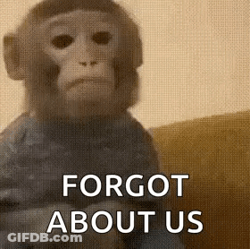 Monkey Sitting On Couch With Forgot About Us GIF