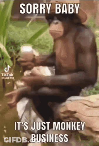 Monkey Sitting On Rock Holding Coffee Sorry Baby It's Just Monkey Business GIF