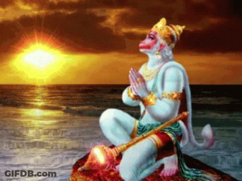 Monkey Sitting On Rock In Front Of Sunset GIF