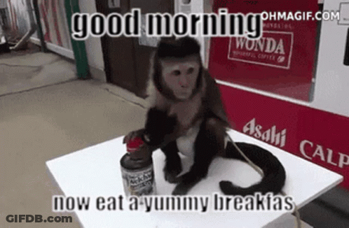Monkey Sitting On Table Saying Good Morning Now Eat A Yummy Breakfast GIF