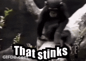 Monkey Sitting On Tree Branch Saying That Stinks GIF