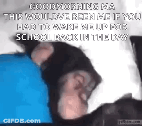 Monkey Sleeping GIF