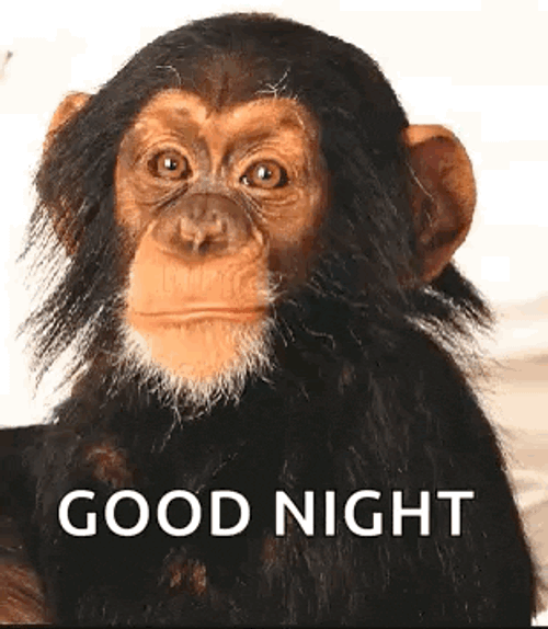 Monkey Smile GIF