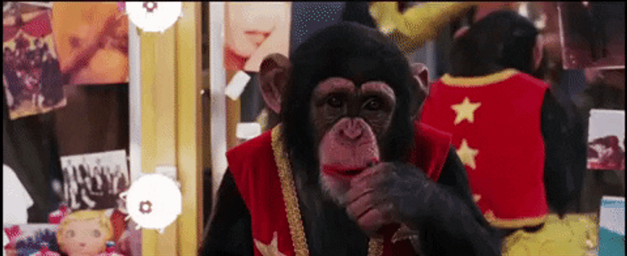 Monkey Smiling Putting Lipsticks GIF