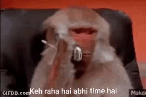 Monkey Smoking And Talking On Cell Phone GIF