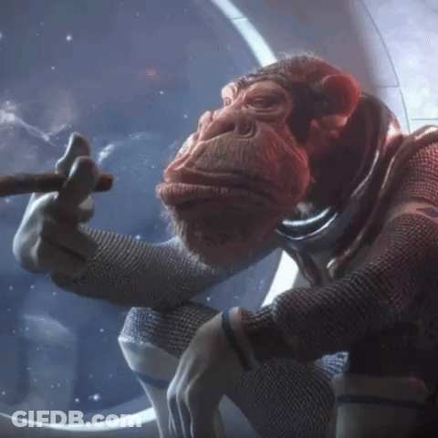 Monkey Smoking Cigar In Space GIF