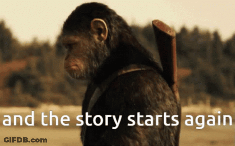 Monkey So It Begins GIF