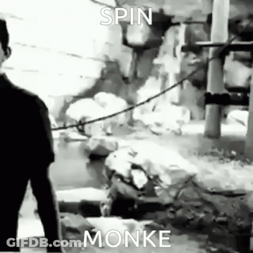 Monkey Spinning Chaos GIF