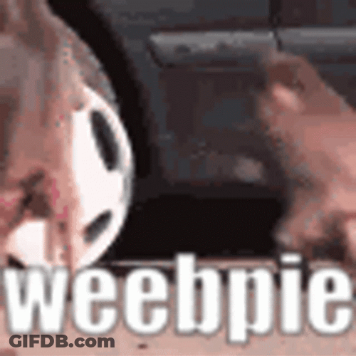 Monkey Spinning Stole Car Part GIF
