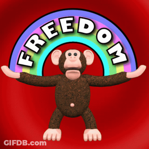 Monkey Standing In Front Of Rainbow Saying Freedom GIF