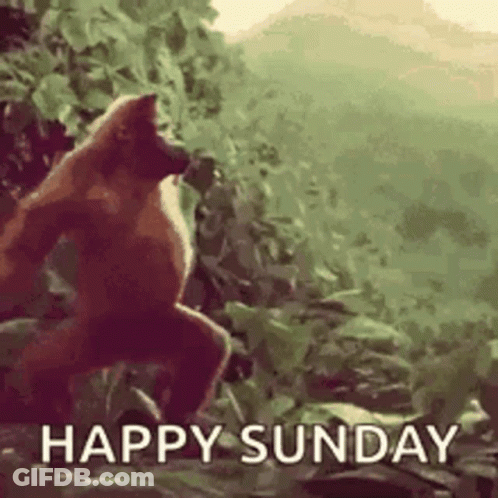 Monkey Standing In Jungle Saying Happy Sunday GIF