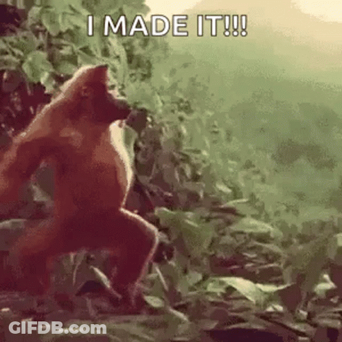 Monkey Standing In Jungle Saying I Made It GIF