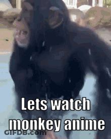 Monkey Standing In Water Lets Watch Monkey Anime GIF