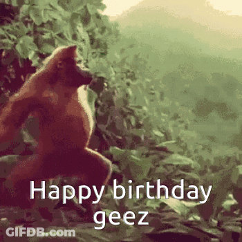 Monkey Standing In Woods Happy Birthday Geez GIF